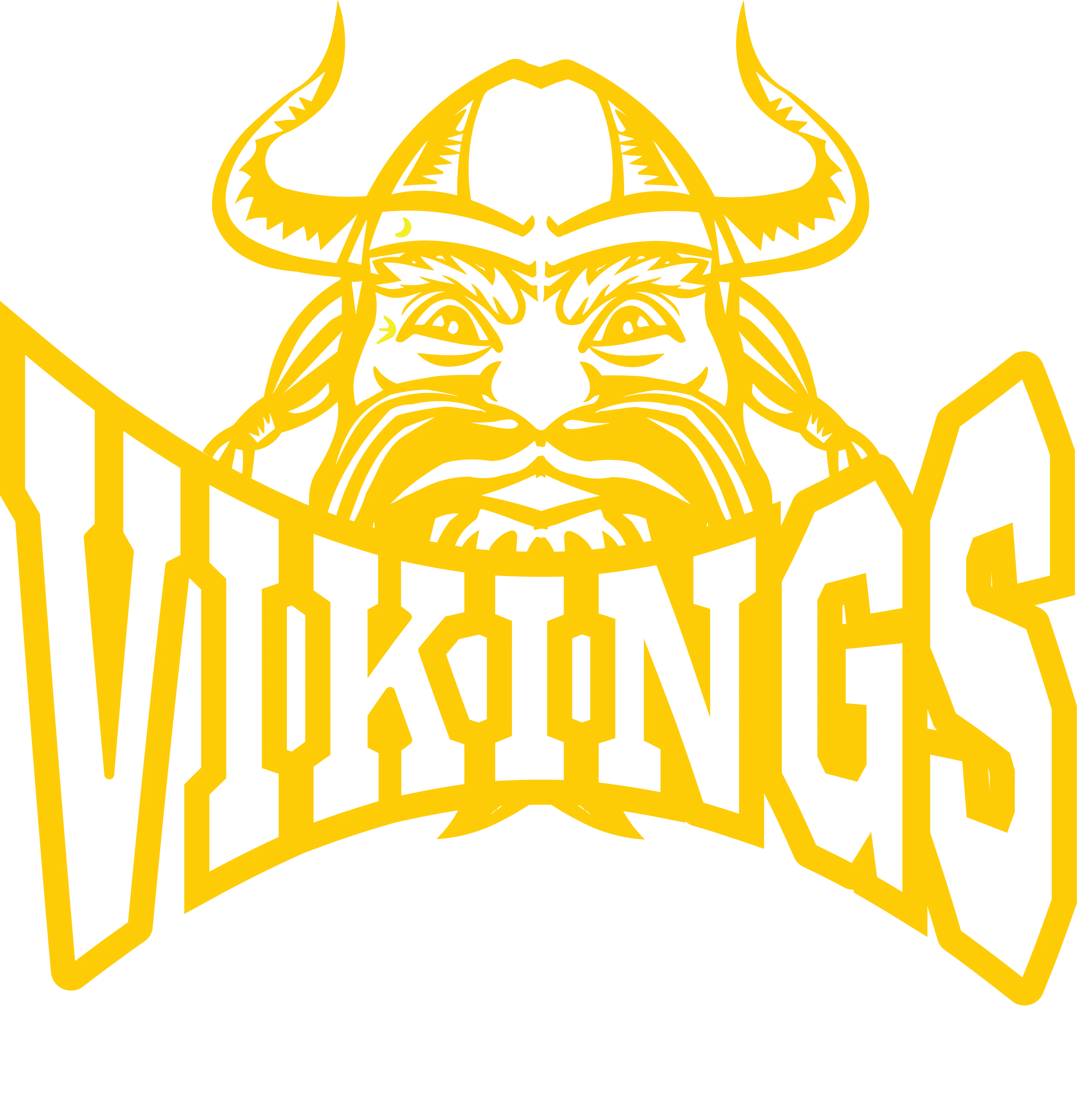 Vikings Baseball Mascot